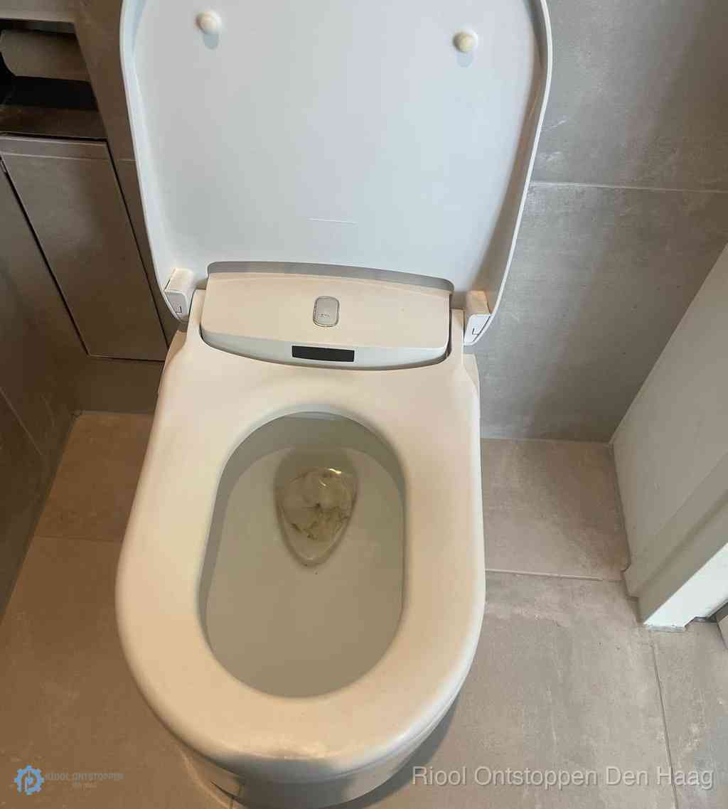 Toilet Ontstoppen Den Haag